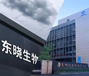 霍爾斯 × 東曉生物 | 以科技助力農(nóng)業(yè)價(jià)值升級